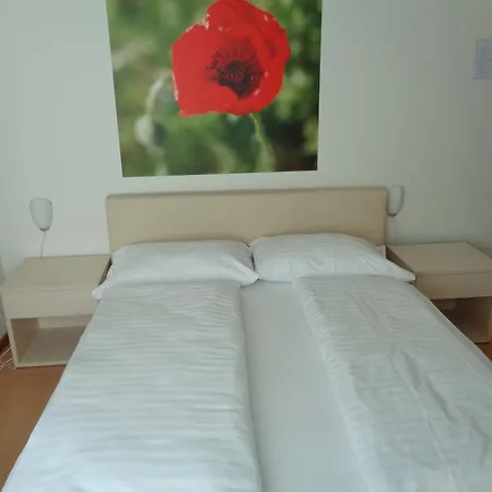 Hotel Castagnola 3*